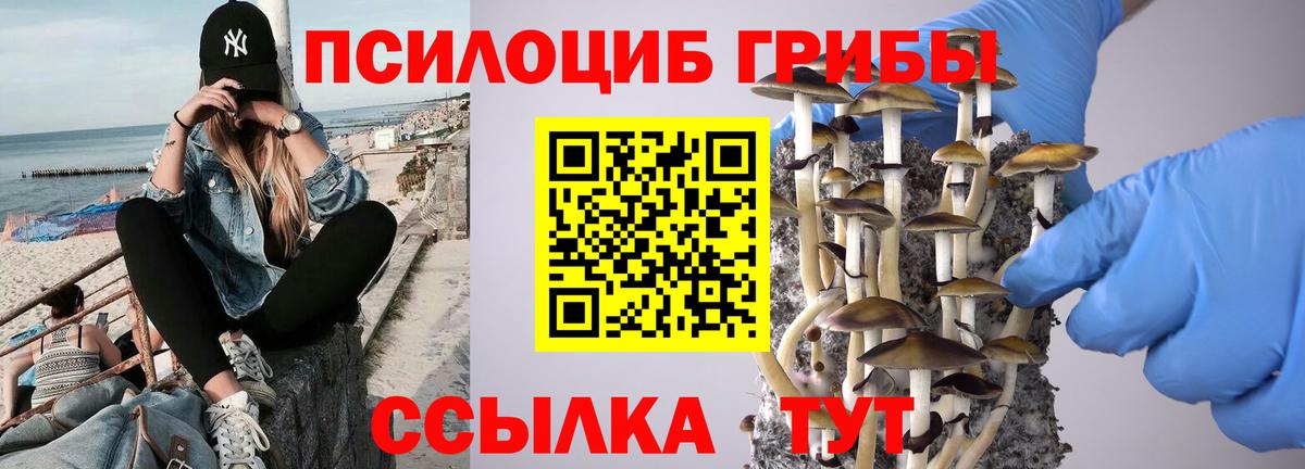 Псилоцибиновые грибы мухоморы Черкесск